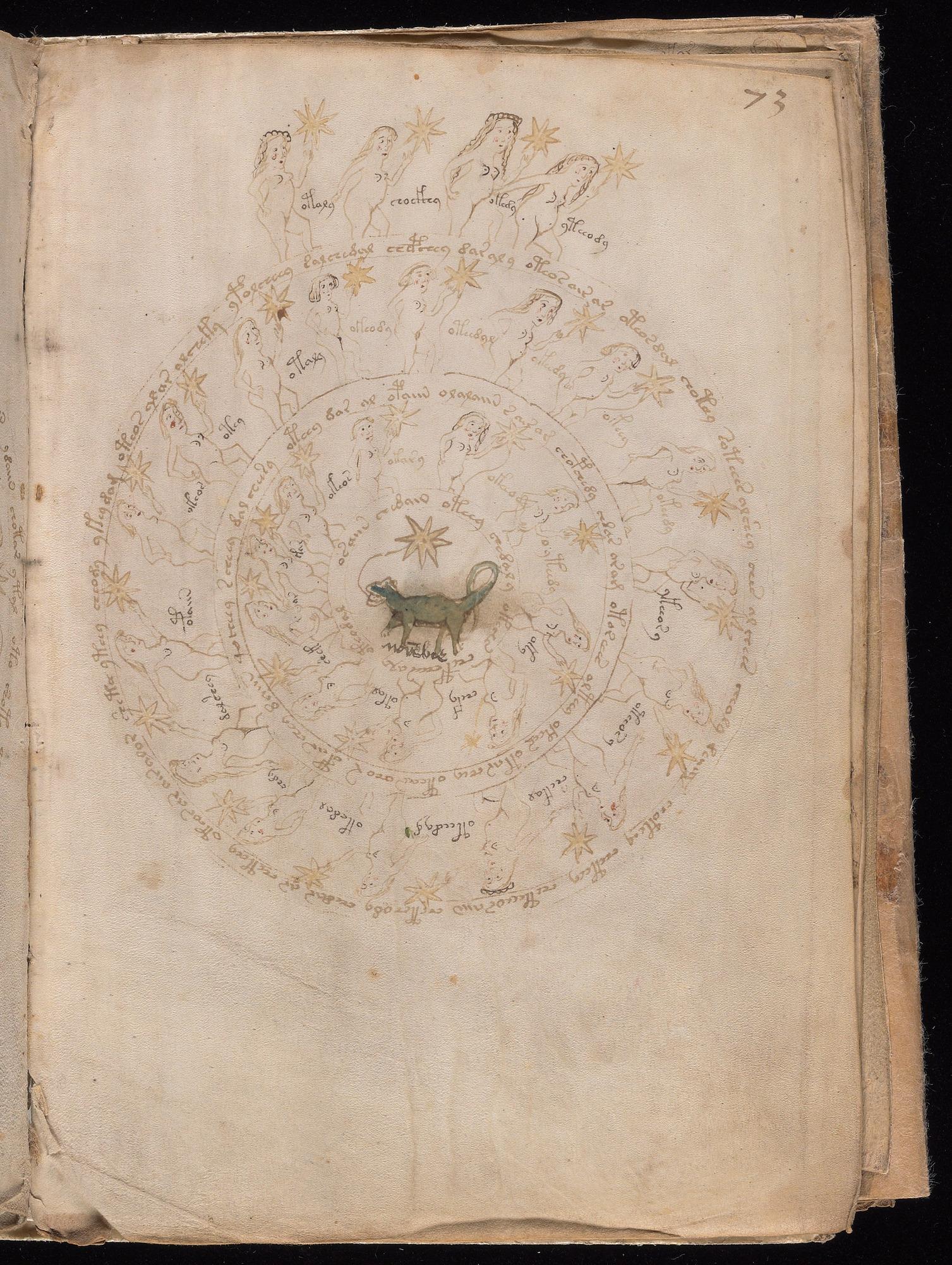 Voynich Manuscript folio f73r — Beinecke MS 408